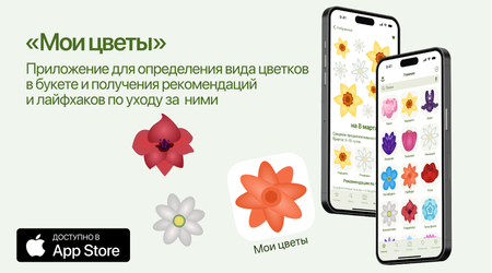 Лендинг приложения «Мои цветы»