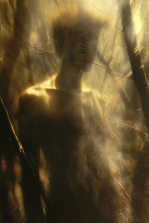 somnus.