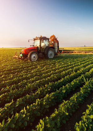 Брендинг Агрохолдинга «Русское Поле»