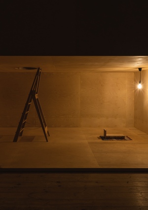 Сравнение выставок: «Основано на реальных событиях» и «Экранные искусства»