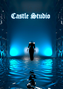 Бриф для бренда женской одежды Castle Studio