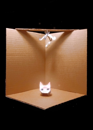 Котики