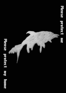 Даже в страданиях доброта не исчезает