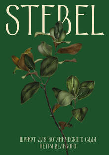 STEBEL