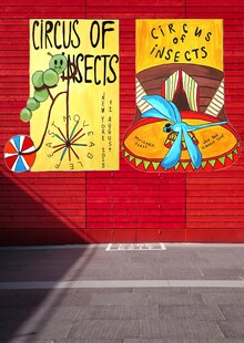 Circus of&nbsp;insects