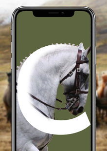 EQUICOR EQUICOR