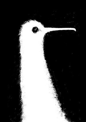 Птичка в клетке