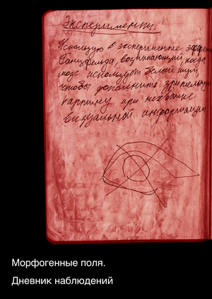 Морфогенные поля. Дневник наблюдений