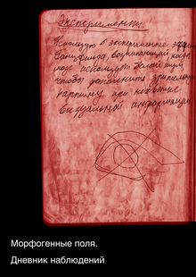 Морфогенные поля. Дневник наблюдений