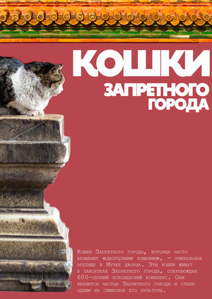 Кошки Запретного города