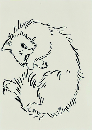 Дневник кота 