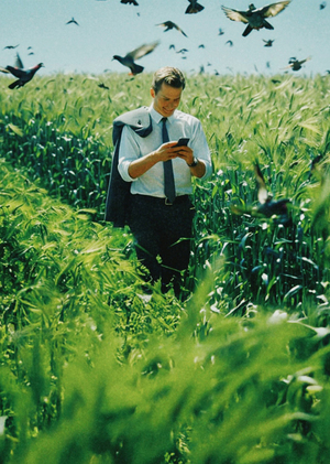 Скачать стоковые фото бесплатно без регистрации