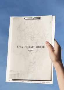 Календарь о&nbsp;птицах