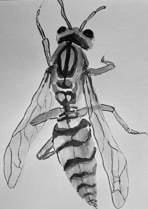 Осиные страхи 