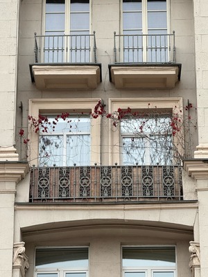 Красота в сердце смотрящего