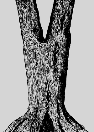 Лесное Сердце