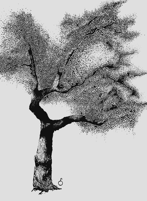 Мой огородный икигай