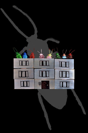 Квартира сверху