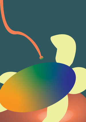 Студия преображения черепах «‎Риф»