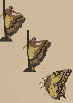 Сопоставление