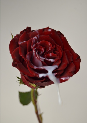 льющиеся цветы