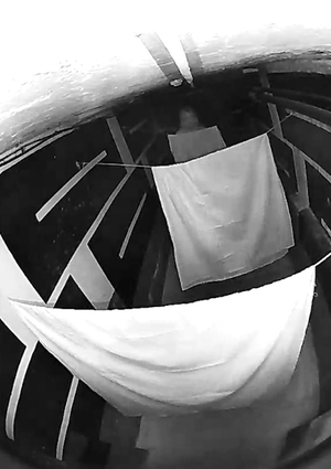 Делегированный перформанс «Лимб»