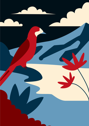 Каму-каму: перуанский шоколад