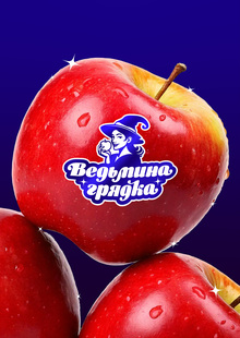 Магический агрохолдинг «Ведьмина грядка»