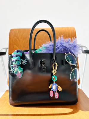 Lost Bag