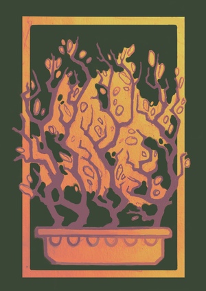 Горшки и не только