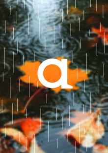 сапо&nbsp;— резиновая обувь