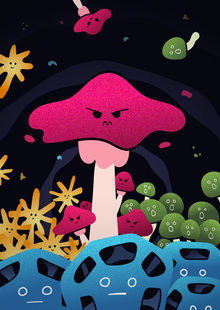 Fungi