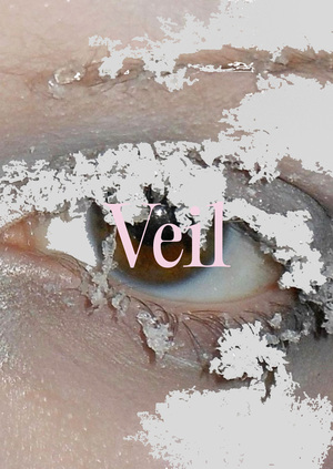 Veil