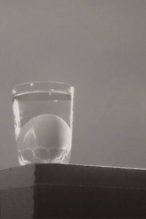 Йозеф Судек. Оммаж