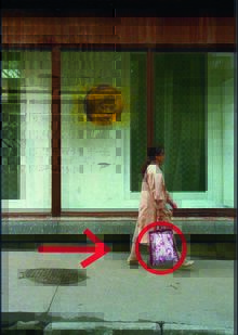 1. Дефицит, престиж и первые символы статуса