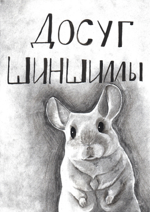 Досуг шиншиллы