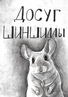 Досуг шиншиллы