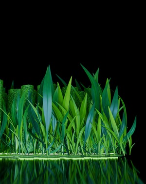 Бессознательное