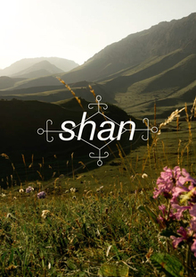 Shan Shan