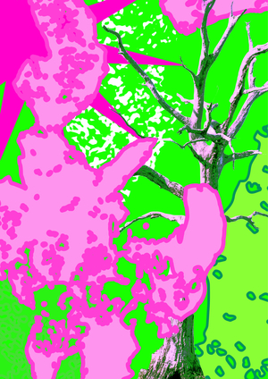 ДЕРЕЙВЯШКА