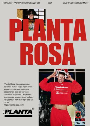 Анализ бренда Planta Rosa