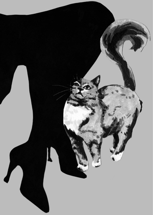 Кошачья работа