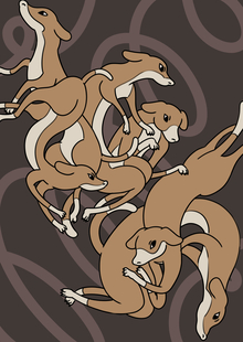 SPINE