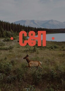 Частная сыроварня «Сыр & печь»