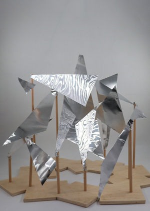 Наблюдатели