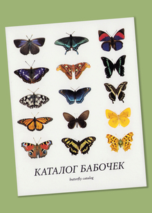 Каталог бабочек