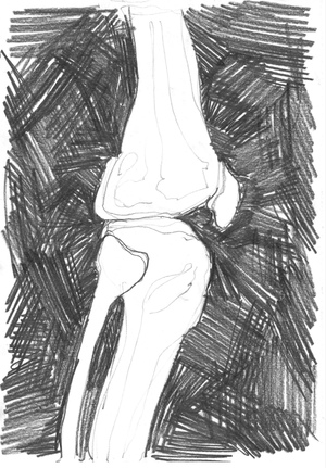 справка на полгода