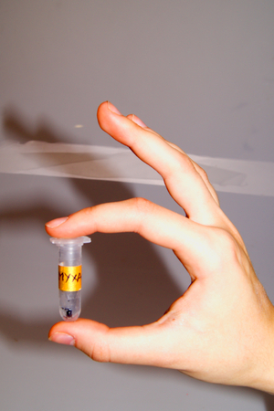 «Кто сказал»