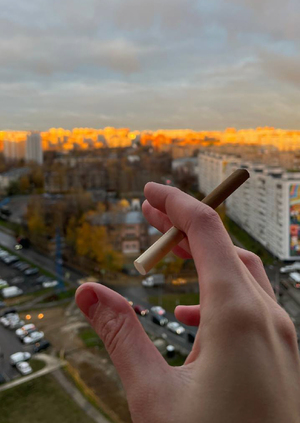 Утро