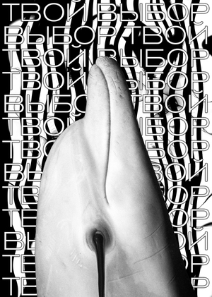 День океанов